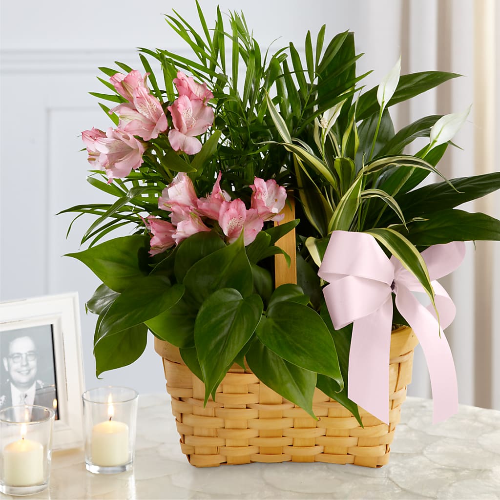 Living Spirit Dishgarden – WALKER'S FLOWER BASKET, Winfield WV