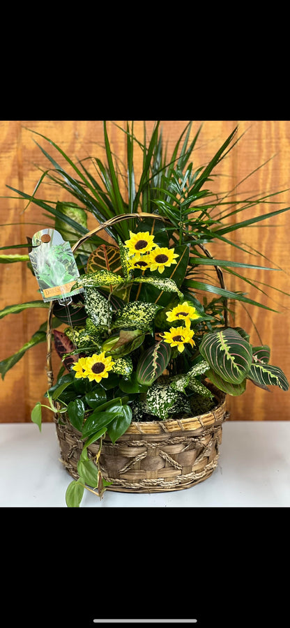 Dish Garden – WALKER'S FLOWER BASKET, Winfield WV
