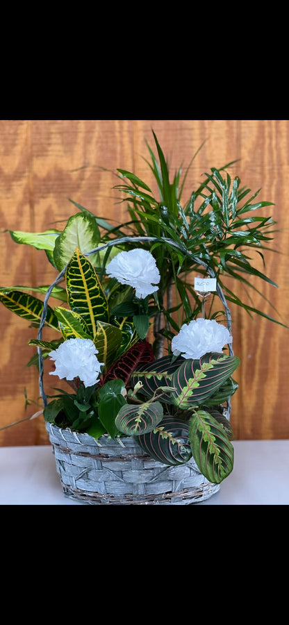 Dish Garden 2 – WALKER'S FLOWER BASKET, Winfield WV