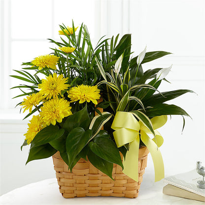 Loving Light Dishgarden – WALKER'S FLOWER BASKET, Winfield WV
